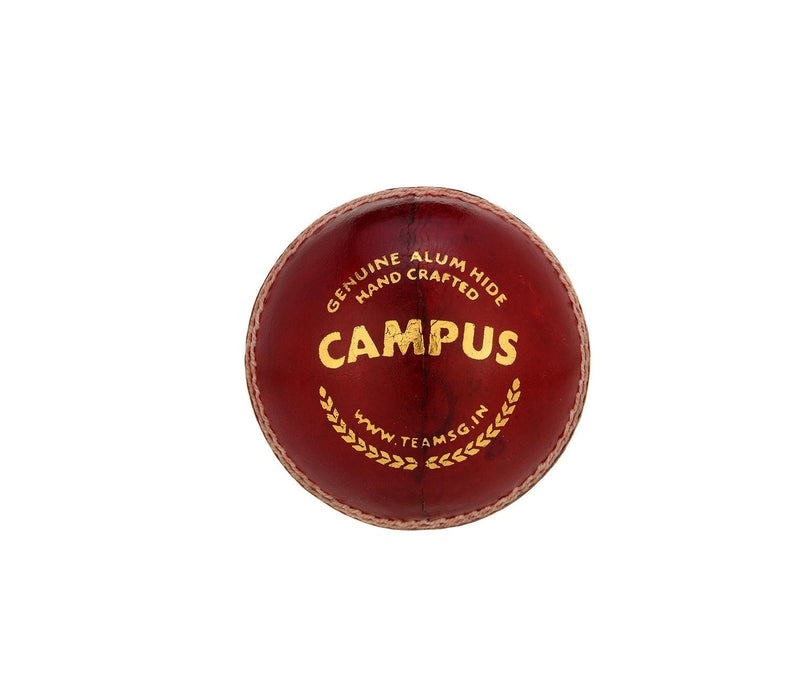 Do Indian Cricket Balls Break Bats? The Myth and Club Cost