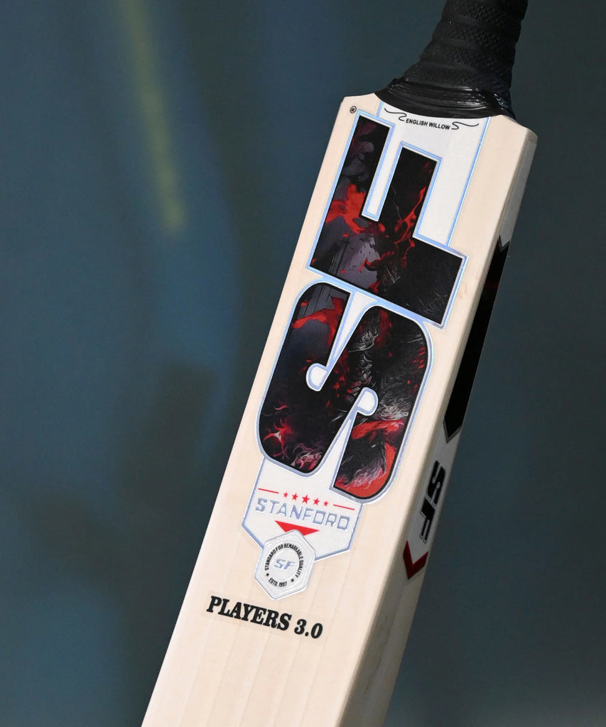 SF Players 3.0 cricket bat, close-up of model name and blade graphics
