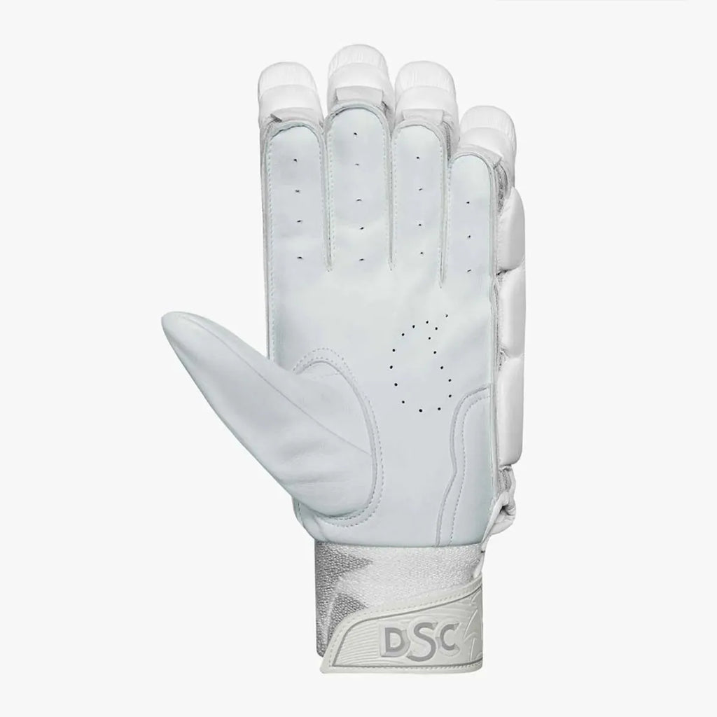 DSC Bull 31 Autograph cricket batting gloves pair