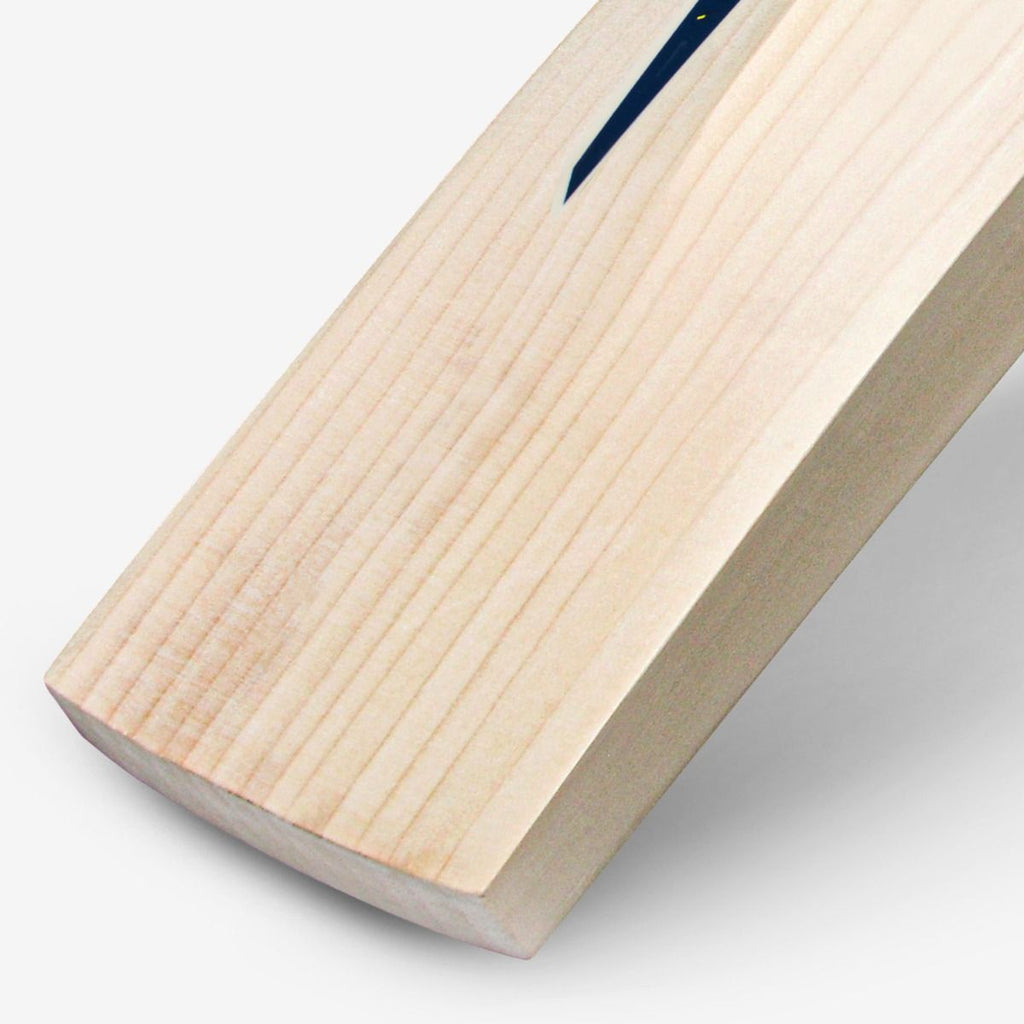 DSC Blak Maverick English willow cricket bat, edge detail view
