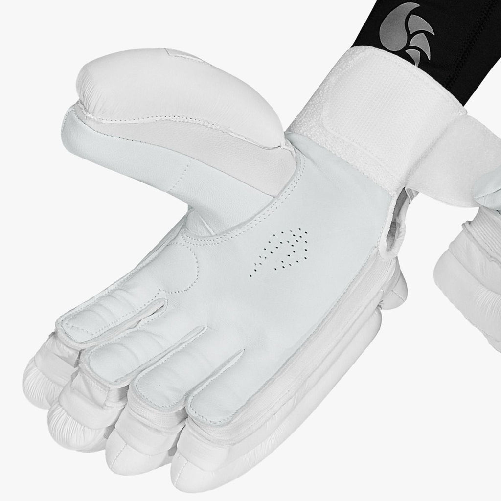 DSC Pro X cricket batting glove, close-up of leather palm, thumb and open wrist cuff