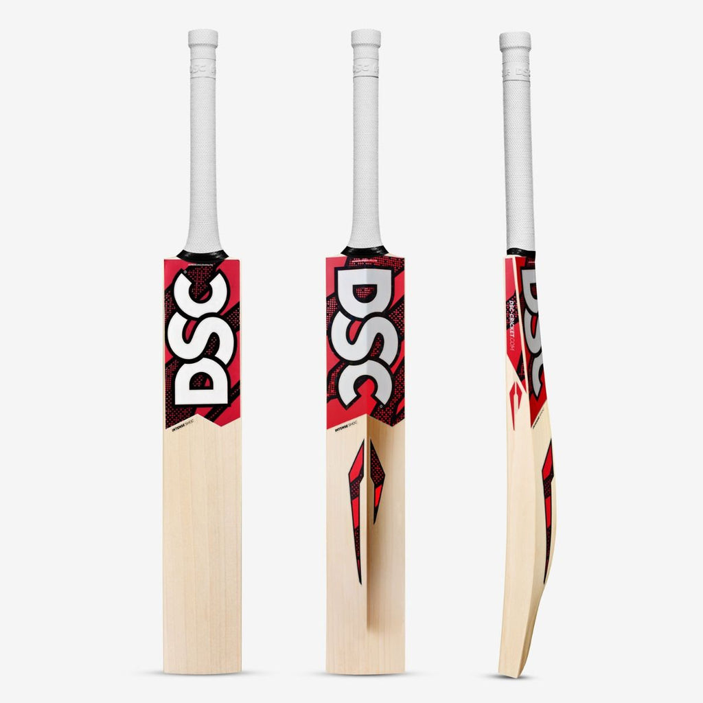 DSC Intense Shoc cricket bat front view