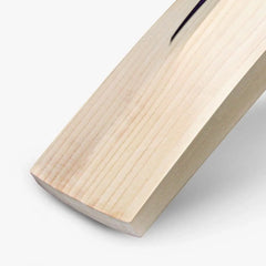 DSC RS 040 cricket bat toe profile detail