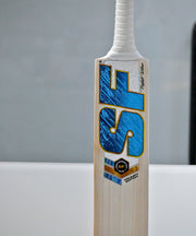 SF Triumph Edition cricket bat, close-up of model graphics