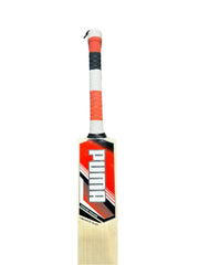 Puma Liberate Play English Willow Cricket Bat - Short Handle back