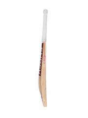 Shrey Strike English Willow Cricket Bat - Short Handle side