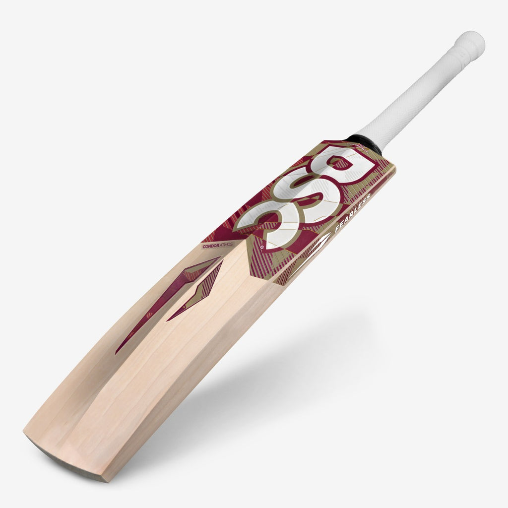 DSC Condor Atmos cricket bat full view