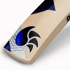 DSC BLAK Players Edition English Willow Cricket Bat image 4
