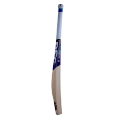 DSC BLU 111 English willow cricket bat, opposite side showing edge and DSC branding