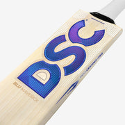 DSC BLU Maverick cricket bat close-up showing blue DSC face branding and Maverick model label