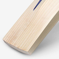 DSC BLU Monza English willow cricket bat, edge detail view