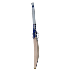 DSC BLU Pro English Willow Cricket Bat image 4