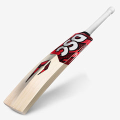 DSC Intense Attitude English Willow Cricket Bat official image 2