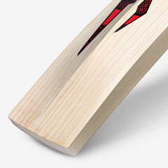 DSC Intense Attitude English Willow Cricket Bat official toe detail