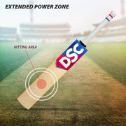 DSC Intense Ferocity English Willow Cricket Bat alternate blade view