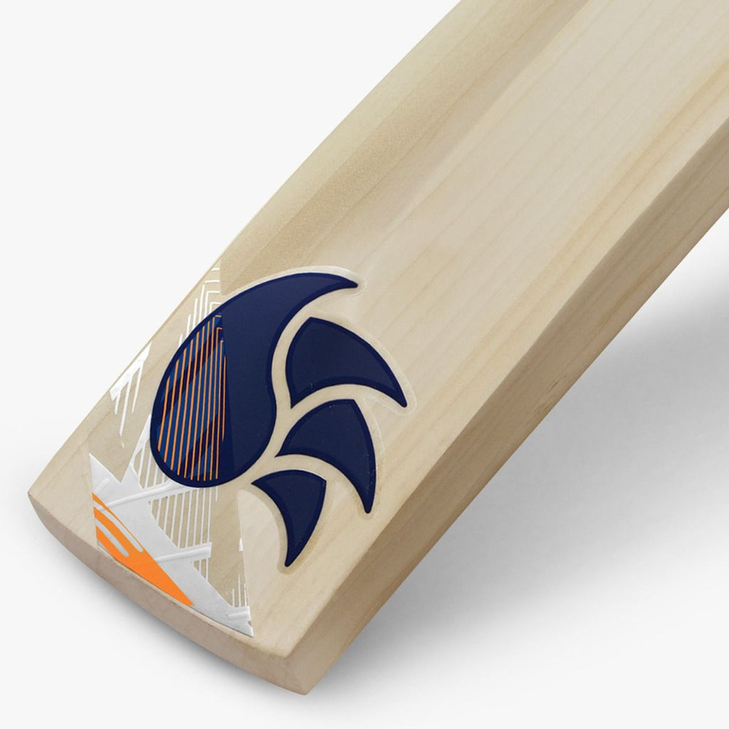 DSC Krunch 1.0 English willow cricket bat, back and toe detail