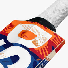 DSC Krunch 1.0 English willow cricket bat, blade detail view