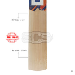 DSC Krunch 2.0 English willow cricket bat, willow grain detail