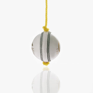 Gortonshire Leather Cricket Training Ball White