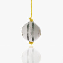 Gortonshire Leather Cricket Training Ball White seam view