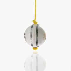 Gortonshire Leather Cricket Training Ball White seam view