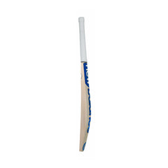 Side profile and edge of New Balance TC 700i Pro English willow cricket bat