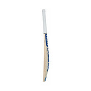 Side profile and edge of New Balance TC 900i Pro English willow cricket bat