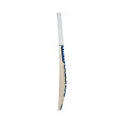 Side profile and edge of New Balance TC 900i Pro English willow cricket bat