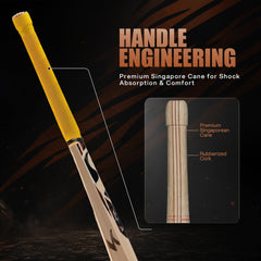 SG Ishan Kishan English Willow Cricket Bat handle and sticker detail