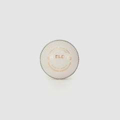 SG Shield 30 White Cricket Leather Ball