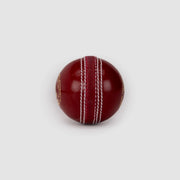 SG Super 50 Red Cricket Ball