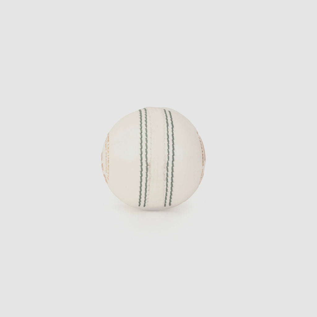 SG Super 50 White Cricket Ball