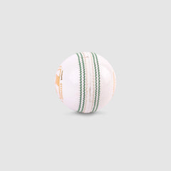 SG Tournament White Cricket Leather Ball