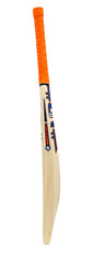 SOMI MSD Player English Willow Cricket Bat rear view