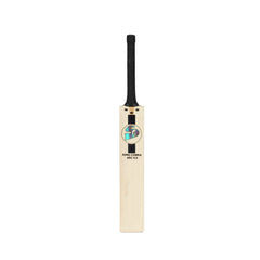 SG King Cobra Arc 4.0 English Willow Cricket Bat front