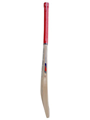 SS Quinton De Kock Player English Willow Cricket Bat - NZ Cricket Store